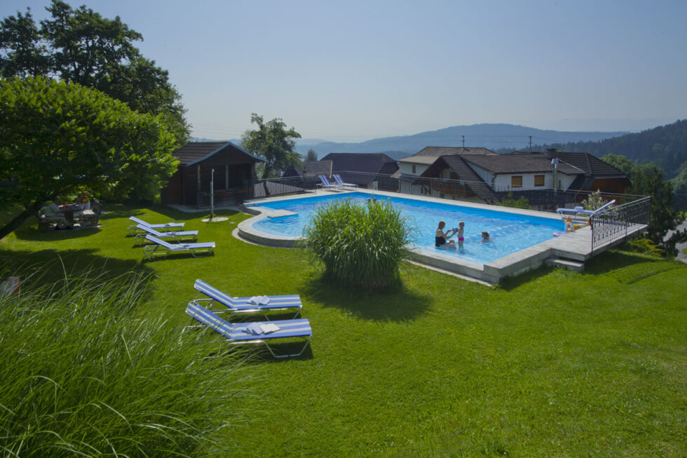 Pool und Liegewiese Gasthof Bärnwirt